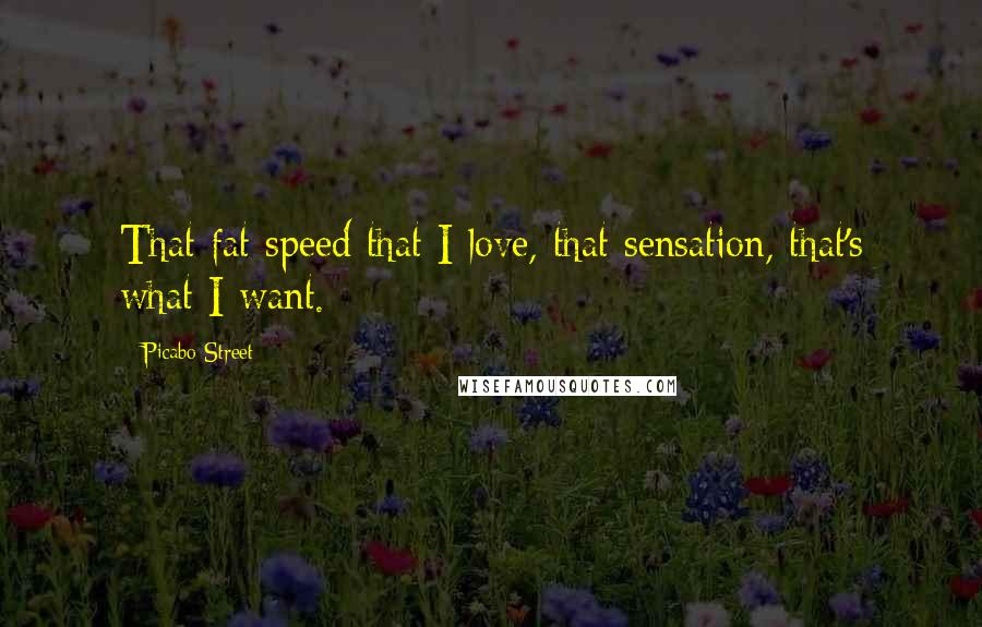 Picabo Street Quotes: That fat speed that I love, that sensation, that's what I want.