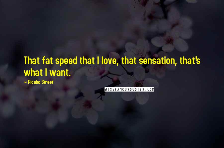 Picabo Street Quotes: That fat speed that I love, that sensation, that's what I want.