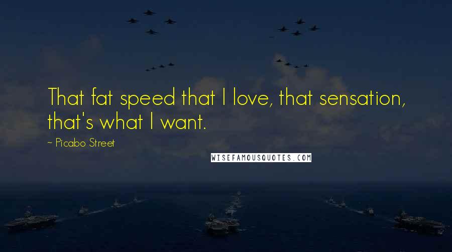 Picabo Street Quotes: That fat speed that I love, that sensation, that's what I want.