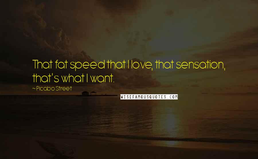 Picabo Street Quotes: That fat speed that I love, that sensation, that's what I want.