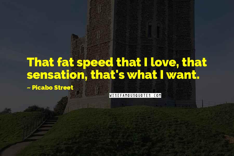 Picabo Street Quotes: That fat speed that I love, that sensation, that's what I want.