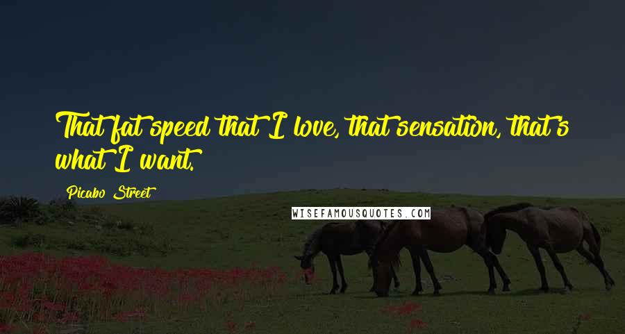 Picabo Street Quotes: That fat speed that I love, that sensation, that's what I want.