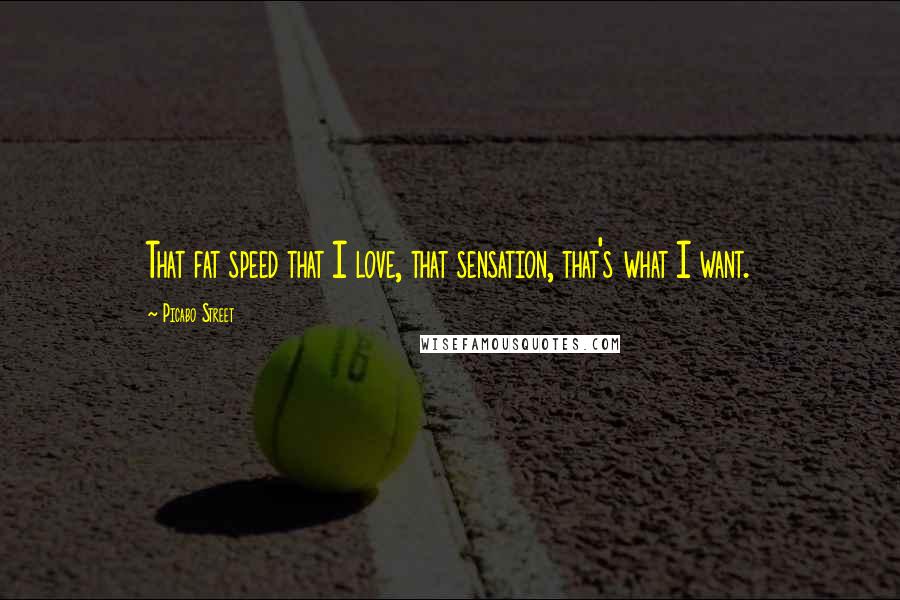 Picabo Street Quotes: That fat speed that I love, that sensation, that's what I want.