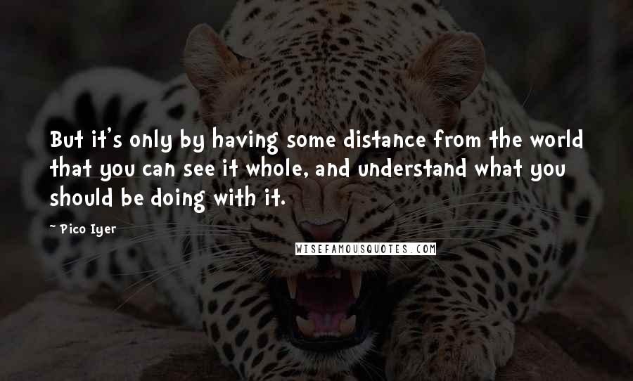 Pico Iyer Quotes: But it's only by having some distance from the world that you can see it whole, and understand what you should be doing with it.