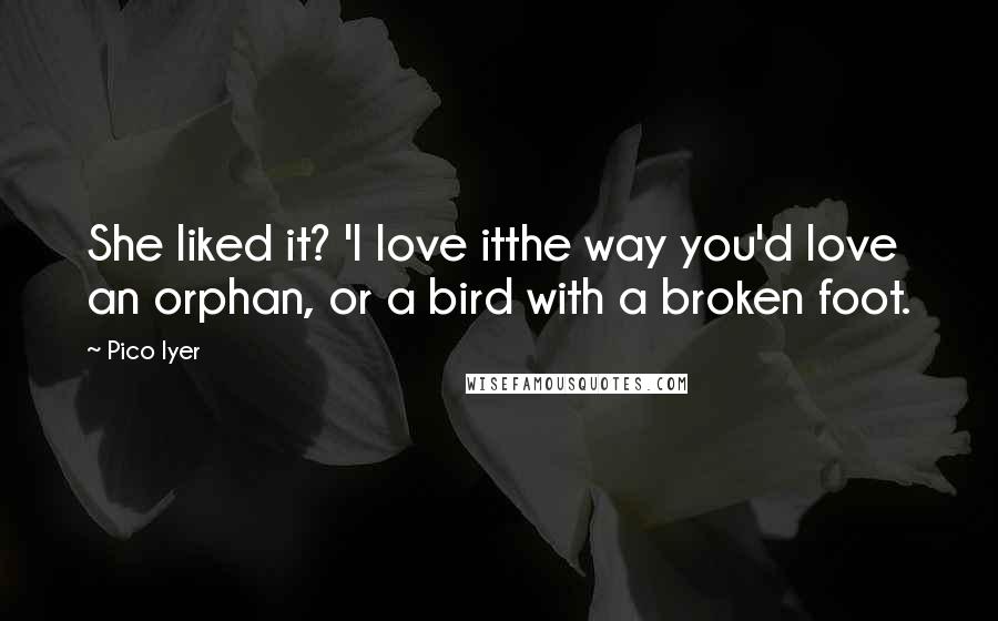 Pico Iyer Quotes: She liked it? 'I love itthe way you'd love an orphan, or a bird with a broken foot.