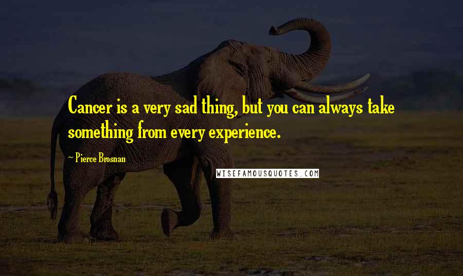 Pierce Brosnan Quotes: Cancer is a very sad thing, but you can always take something from every experience.