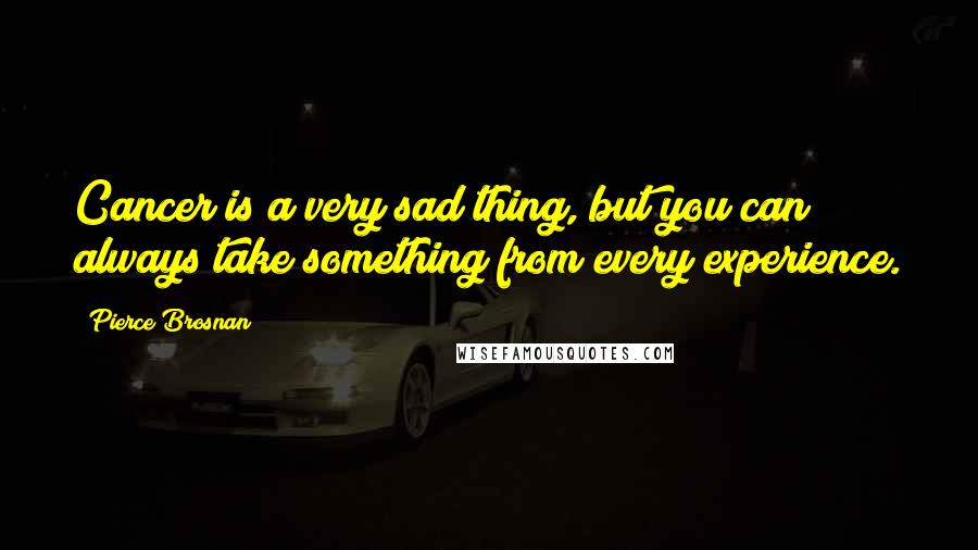 Pierce Brosnan Quotes: Cancer is a very sad thing, but you can always take something from every experience.