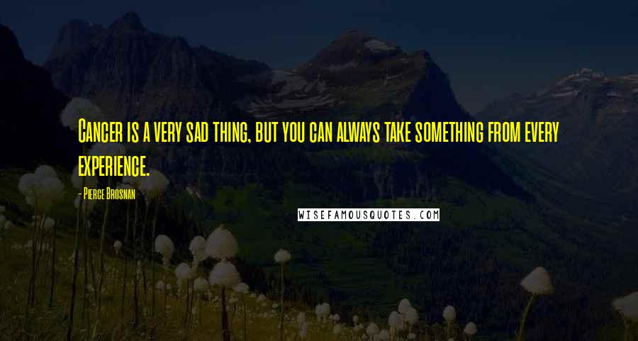 Pierce Brosnan Quotes: Cancer is a very sad thing, but you can always take something from every experience.
