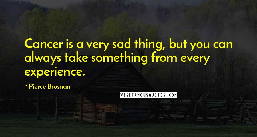 Pierce Brosnan Quotes: Cancer is a very sad thing, but you can always take something from every experience.