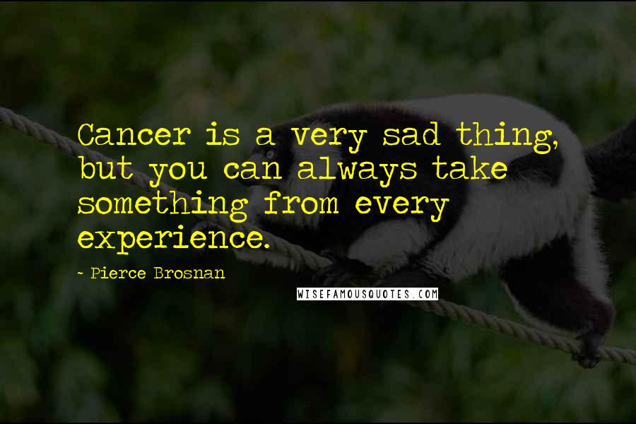 Pierce Brosnan Quotes: Cancer is a very sad thing, but you can always take something from every experience.