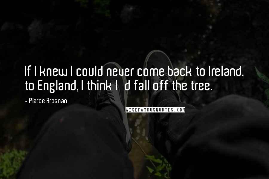 Pierce Brosnan Quotes: If I knew I could never come back to Ireland, to England, I think I'd fall off the tree.