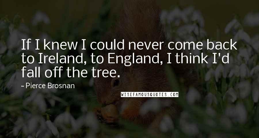 Pierce Brosnan Quotes: If I knew I could never come back to Ireland, to England, I think I'd fall off the tree.