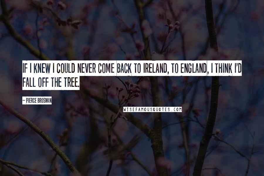 Pierce Brosnan Quotes: If I knew I could never come back to Ireland, to England, I think I'd fall off the tree.