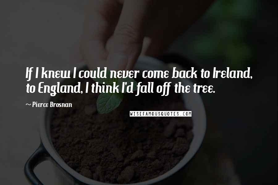 Pierce Brosnan Quotes: If I knew I could never come back to Ireland, to England, I think I'd fall off the tree.