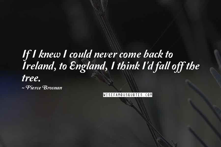 Pierce Brosnan Quotes: If I knew I could never come back to Ireland, to England, I think I'd fall off the tree.