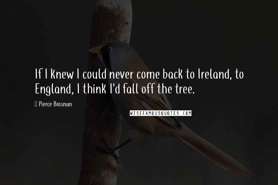 Pierce Brosnan Quotes: If I knew I could never come back to Ireland, to England, I think I'd fall off the tree.