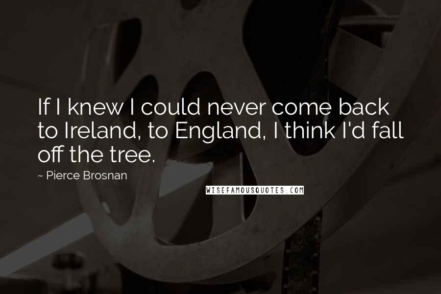 Pierce Brosnan Quotes: If I knew I could never come back to Ireland, to England, I think I'd fall off the tree.