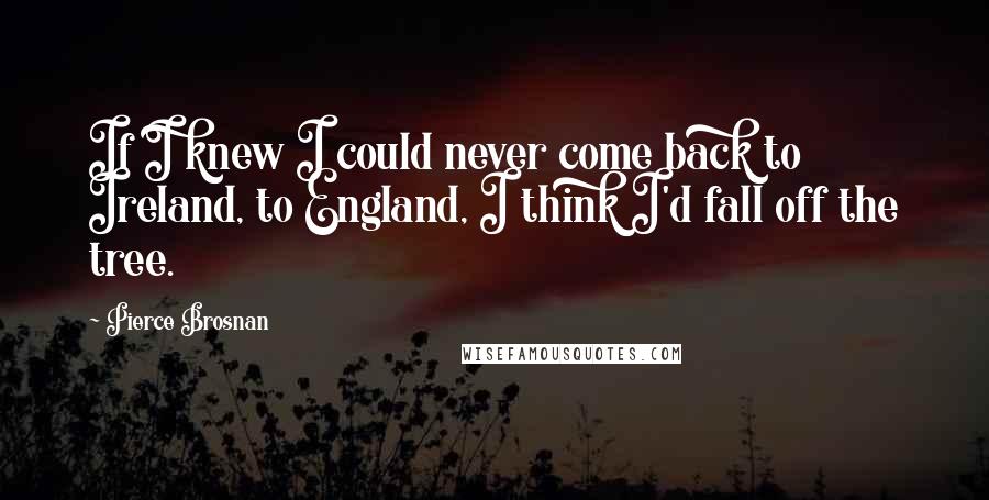 Pierce Brosnan Quotes: If I knew I could never come back to Ireland, to England, I think I'd fall off the tree.