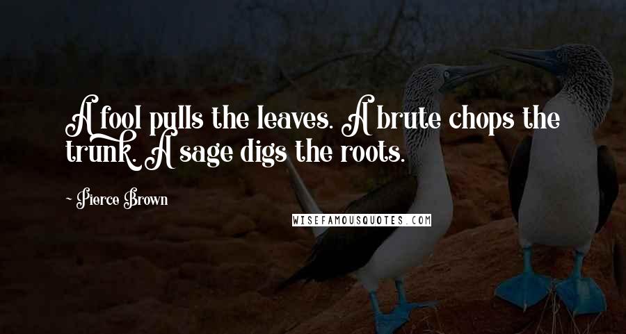 Pierce Brown Quotes: A fool pulls the leaves. A brute chops the trunk. A sage digs the roots.