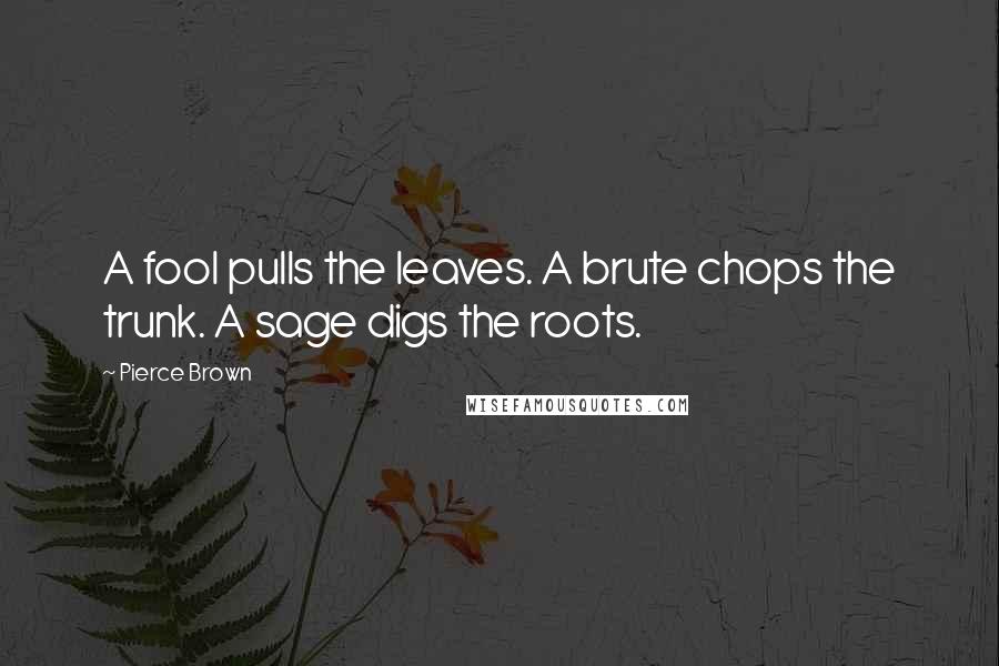 Pierce Brown Quotes: A fool pulls the leaves. A brute chops the trunk. A sage digs the roots.