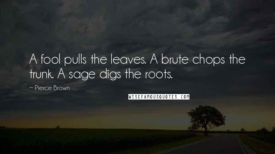 Pierce Brown Quotes: A fool pulls the leaves. A brute chops the trunk. A sage digs the roots.