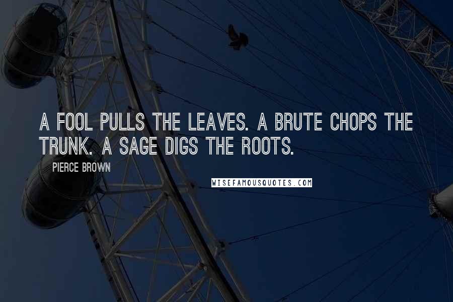 Pierce Brown Quotes: A fool pulls the leaves. A brute chops the trunk. A sage digs the roots.