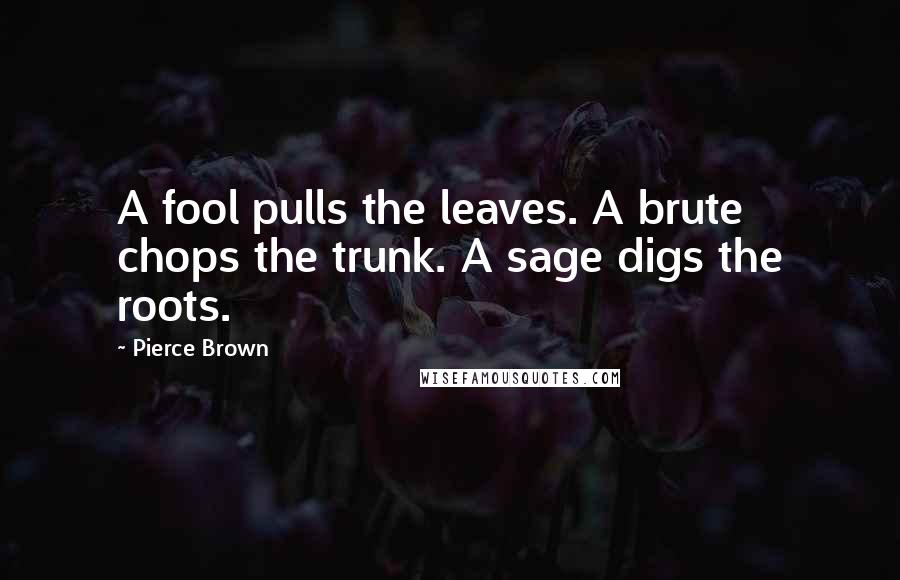 Pierce Brown Quotes: A fool pulls the leaves. A brute chops the trunk. A sage digs the roots.
