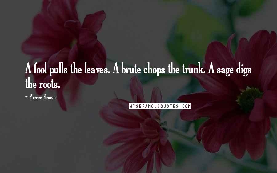 Pierce Brown Quotes: A fool pulls the leaves. A brute chops the trunk. A sage digs the roots.