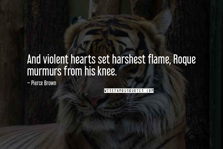 Pierce Brown Quotes: And violent hearts set harshest flame, Roque murmurs from his knee.