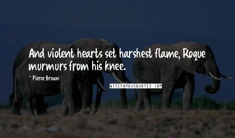 Pierce Brown Quotes: And violent hearts set harshest flame, Roque murmurs from his knee.