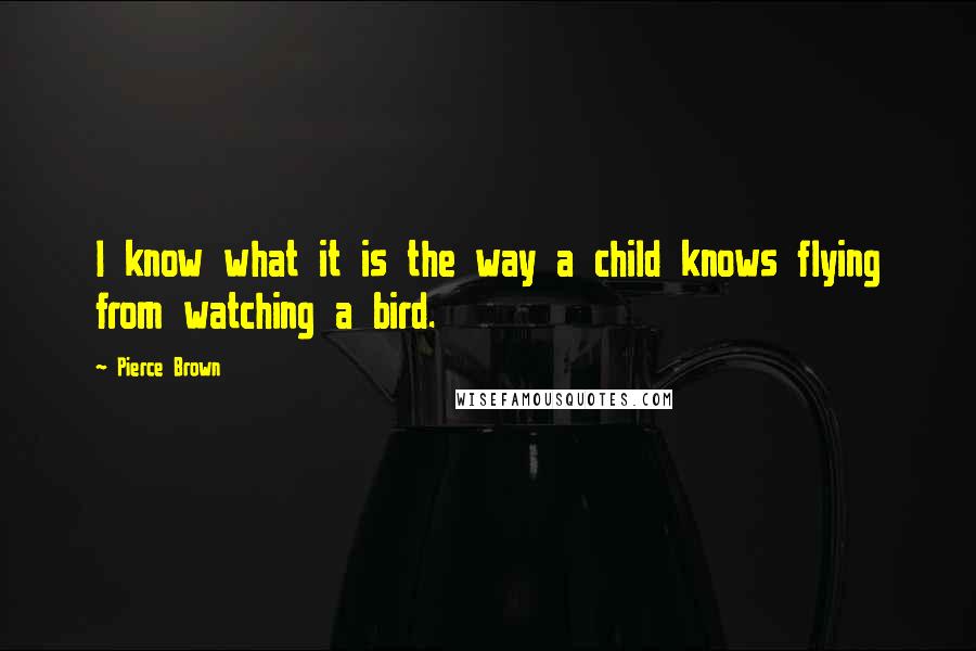 Pierce Brown Quotes: I know what it is the way a child knows flying from watching a bird.