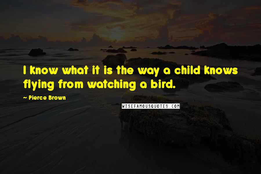 Pierce Brown Quotes: I know what it is the way a child knows flying from watching a bird.