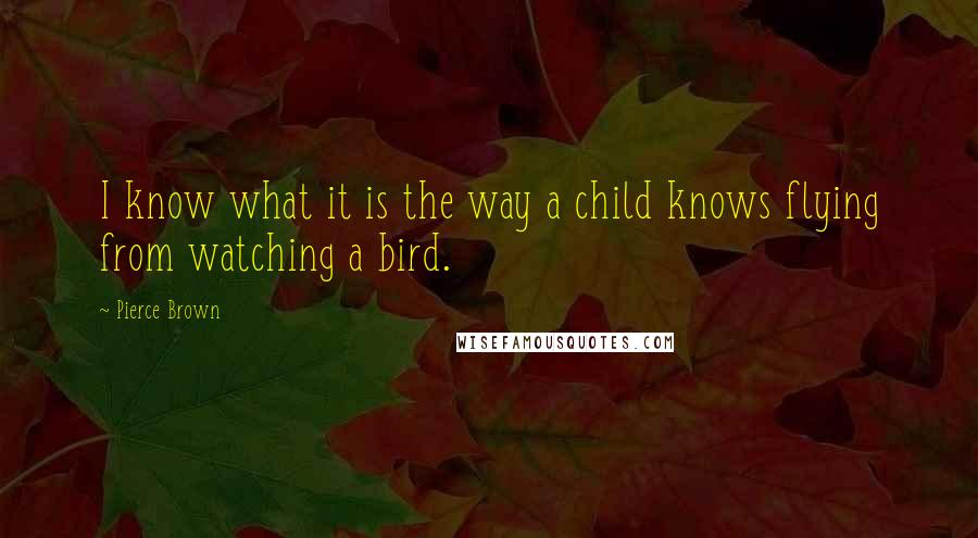 Pierce Brown Quotes: I know what it is the way a child knows flying from watching a bird.