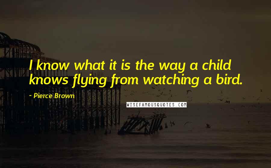 Pierce Brown Quotes: I know what it is the way a child knows flying from watching a bird.