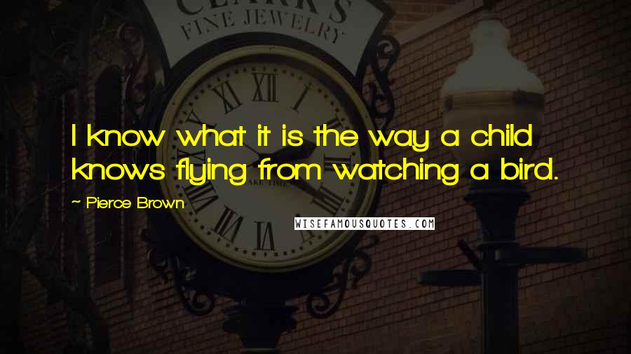 Pierce Brown Quotes: I know what it is the way a child knows flying from watching a bird.