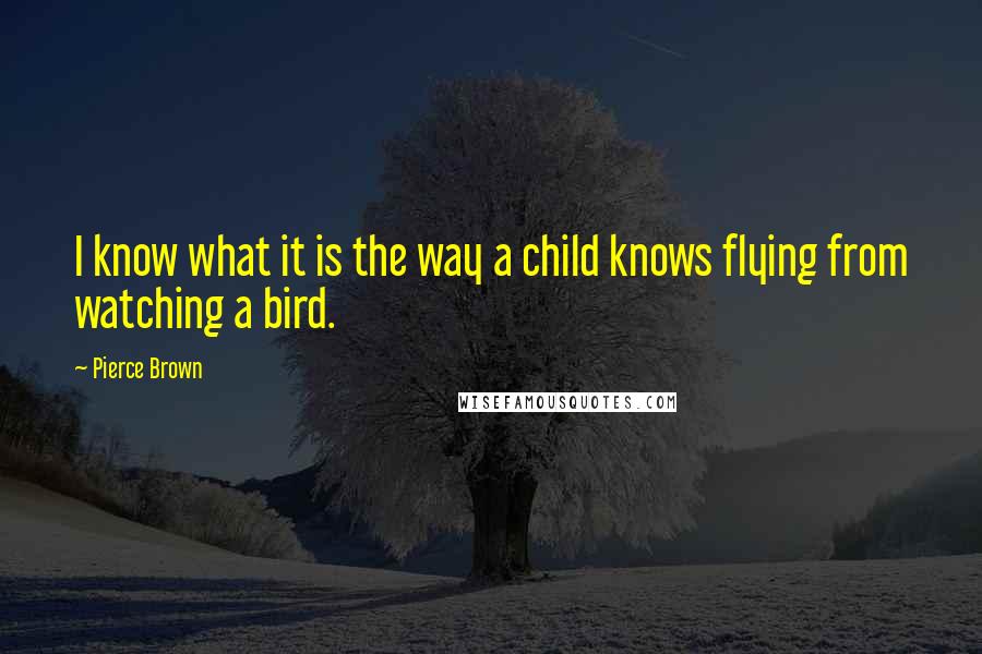 Pierce Brown Quotes: I know what it is the way a child knows flying from watching a bird.