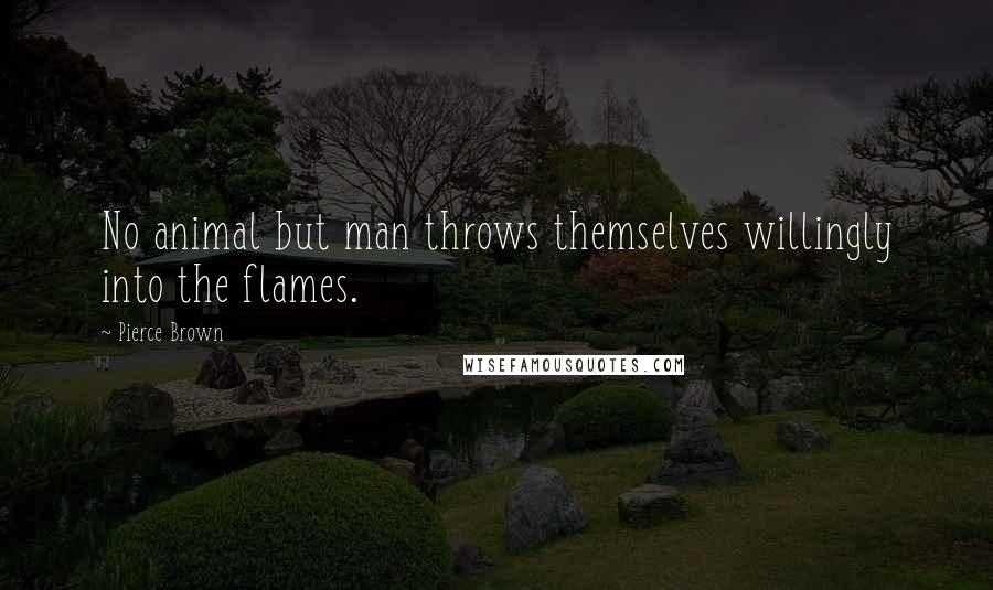 Pierce Brown Quotes: No animal but man throws themselves willingly into the flames.