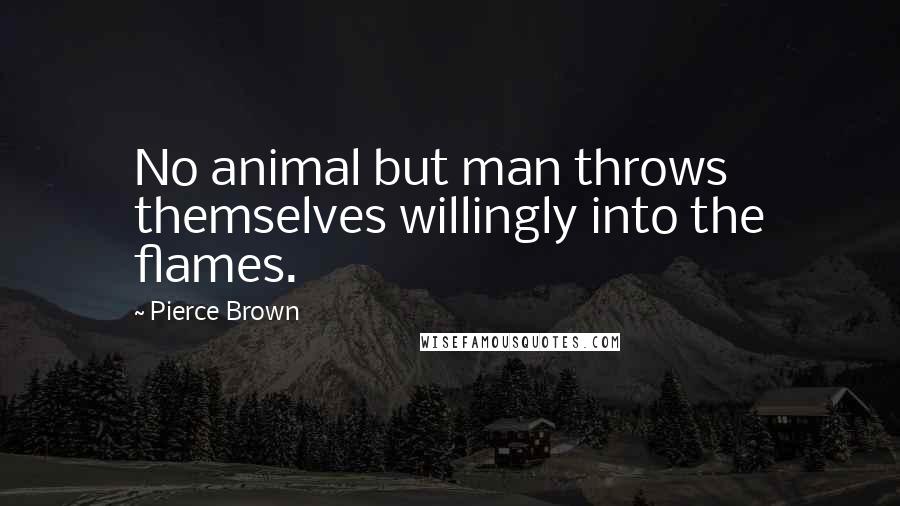 Pierce Brown Quotes: No animal but man throws themselves willingly into the flames.