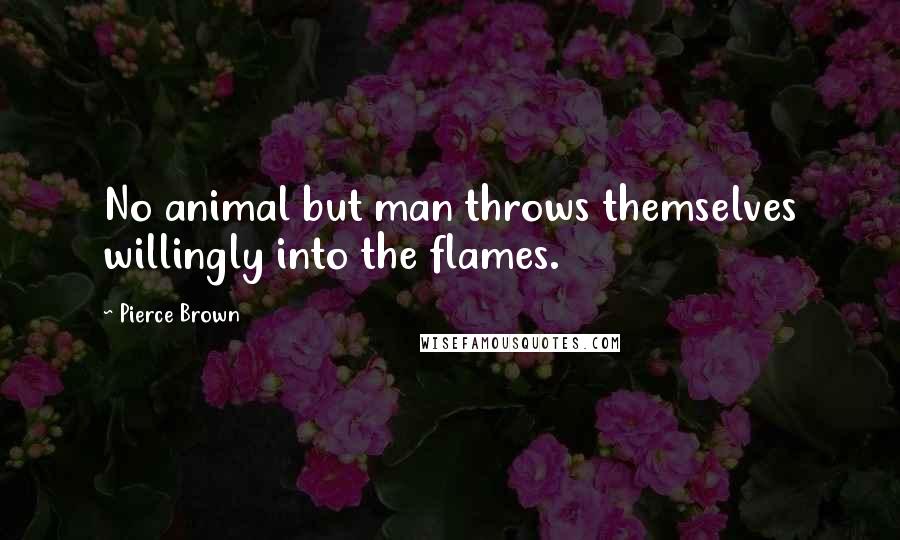 Pierce Brown Quotes: No animal but man throws themselves willingly into the flames.