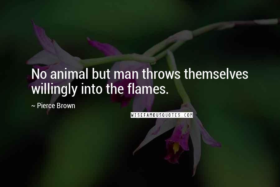 Pierce Brown Quotes: No animal but man throws themselves willingly into the flames.