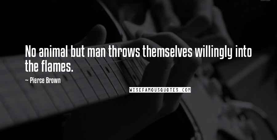 Pierce Brown Quotes: No animal but man throws themselves willingly into the flames.