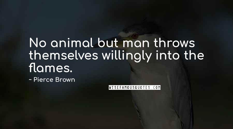 Pierce Brown Quotes: No animal but man throws themselves willingly into the flames.