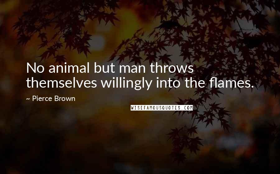 Pierce Brown Quotes: No animal but man throws themselves willingly into the flames.