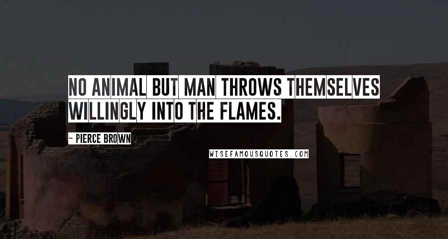 Pierce Brown Quotes: No animal but man throws themselves willingly into the flames.