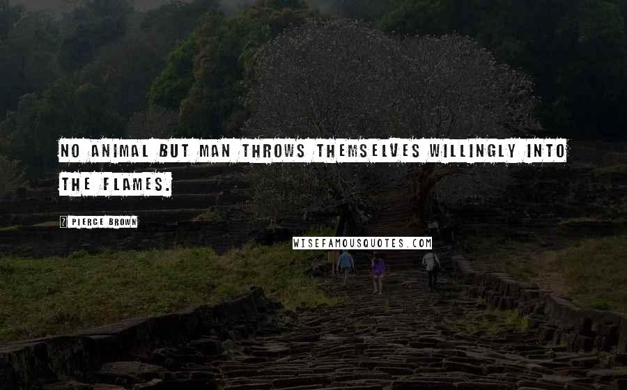Pierce Brown Quotes: No animal but man throws themselves willingly into the flames.
