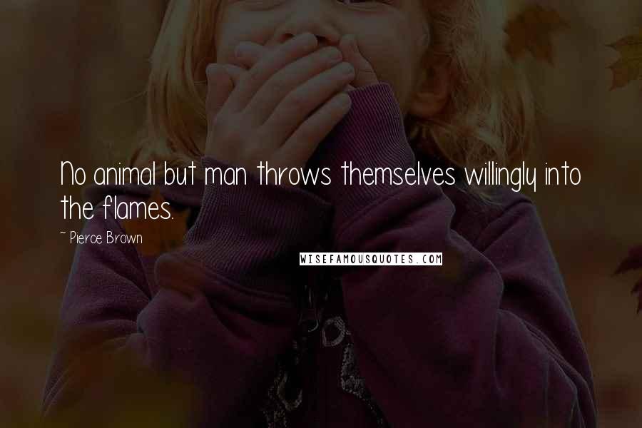 Pierce Brown Quotes: No animal but man throws themselves willingly into the flames.