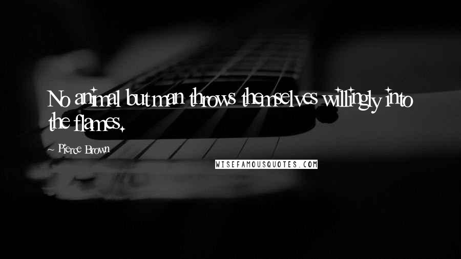 Pierce Brown Quotes: No animal but man throws themselves willingly into the flames.