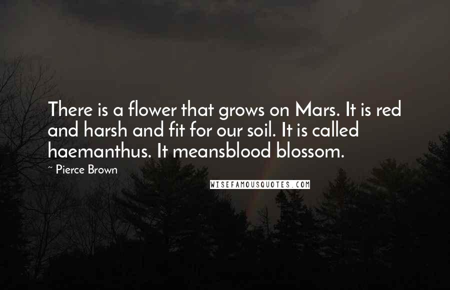 Pierce Brown Quotes: There is a flower that grows on Mars. It is red and harsh and fit for our soil. It is called haemanthus. It meansblood blossom.