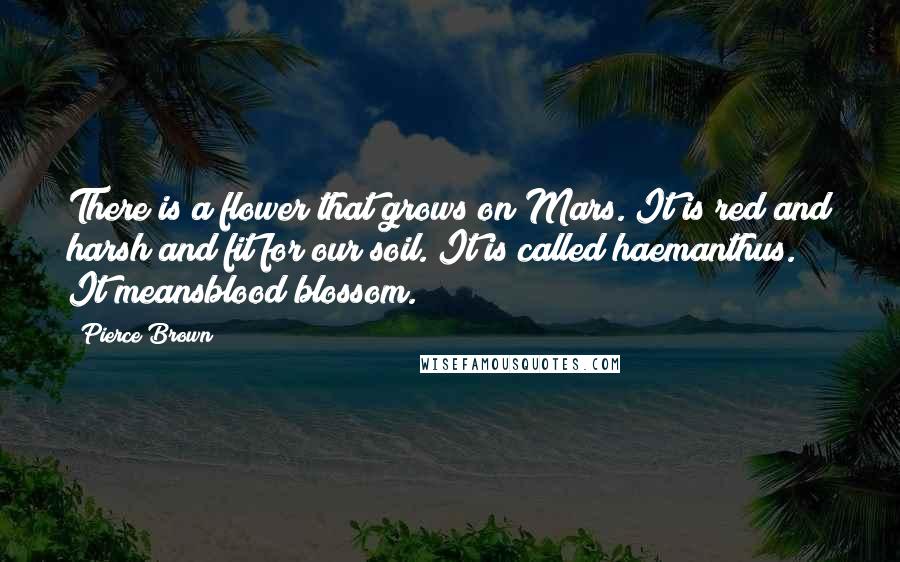 Pierce Brown Quotes: There is a flower that grows on Mars. It is red and harsh and fit for our soil. It is called haemanthus. It meansblood blossom.