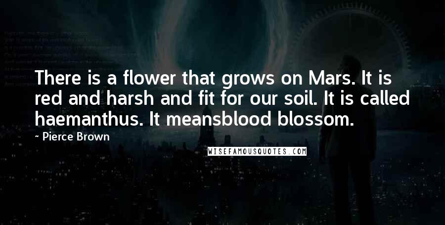 Pierce Brown Quotes: There is a flower that grows on Mars. It is red and harsh and fit for our soil. It is called haemanthus. It meansblood blossom.